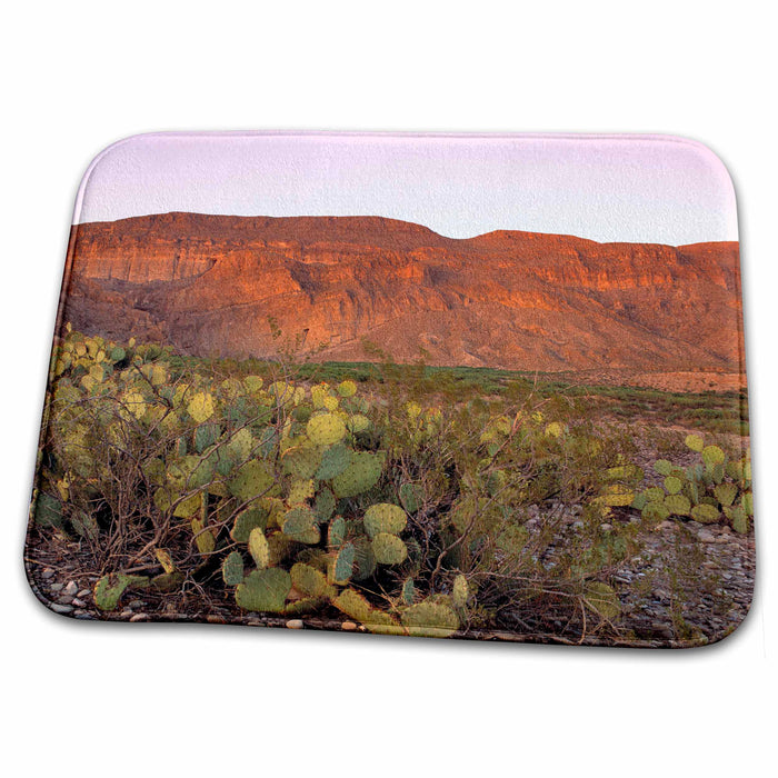 Dish Drying Mat - Texas, Big Bend NP. Prickly Pear Cacti - US44 RER0004 - Ric Ergenbright Texas