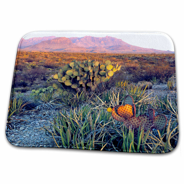 Dish Drying Mat - Texas, Big Bend NP. Chisos Mountains - US44 RER0005 - Ric Ergenbright Texas