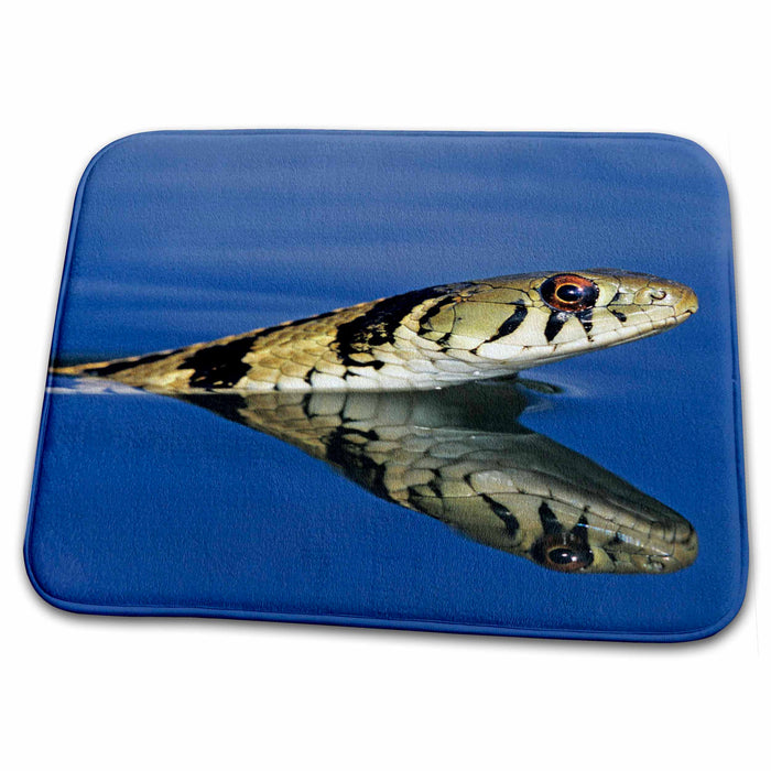 Dish Drying Mat - Checkered Garter Snake, Rio Grande Valley, Texas - US44 RNU0156 - Rolf Nussbaumer Snakes