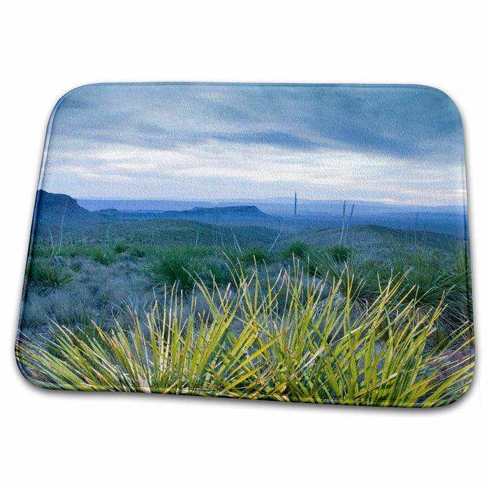 Dish Drying Mat - Texas, Big Bend NP, Sotol Plants, Sotol Vista - US44 WBI0172 - Walter Bibikow Texas