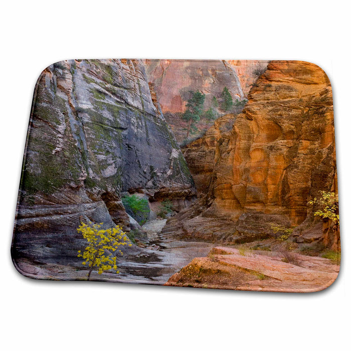 Dish Drying Mat - Echo Canyon, Zion NP, Utah - US45 HGA0132 - Howie Garber Utah