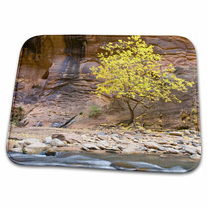 Dish Drying Mat - Virgin River, Box Elder Tree, Zion NP, Utah - US45 HGA0145 - Howie Garber Rivers