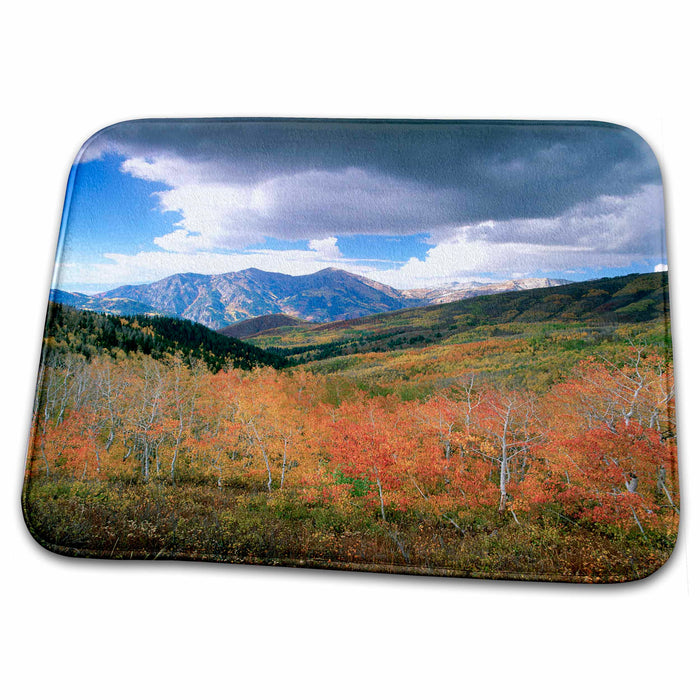 Dish Drying Mat - Mount Timpanogos, Uinta National Forest, Utah - US45 HGA0214 - Howie Garber Utah