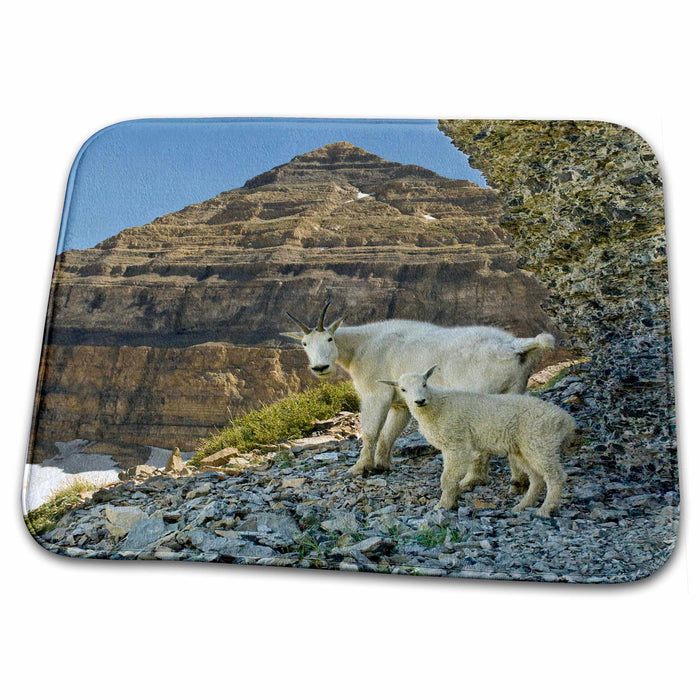 Dish Drying Mat - Mountain Goats, Uinta-Wasatch-Cache NF, Utah - US45 HGA0260 - Howie Garber Goats