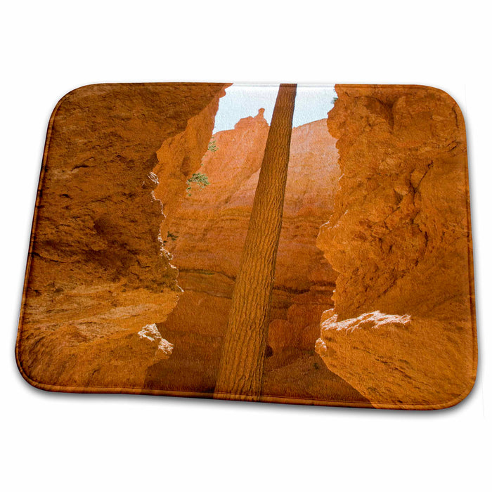 Dish Drying Mat - Utah, Bryce Canyon NP, Ponderosa Pine - US45 JWI0201 - Jamie and Judy Wild Utah