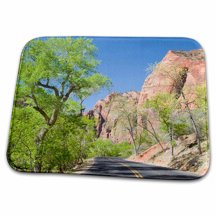 Dish Drying Mat - Utah, Zion National Park, Zion Canyon road - US45 JWI0337 - Jamie and Judy Wild Utah