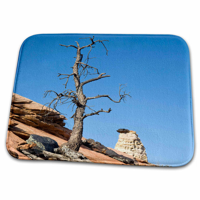 Dish Drying Mat - Utah, Zion National Park, Old tree and hoodoo - US45 JWI0380 - Jamie and Judy Wild Utah