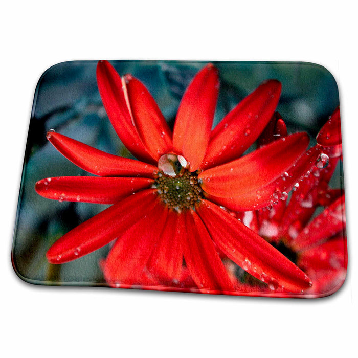 Dish Drying Mat - Stunning Red Bloom in the Rain Florals and Bouquets