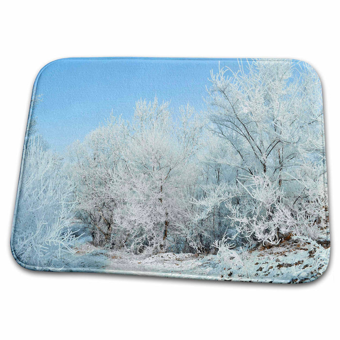 Dish Drying Mat - Winter Landscape Winter Scenery