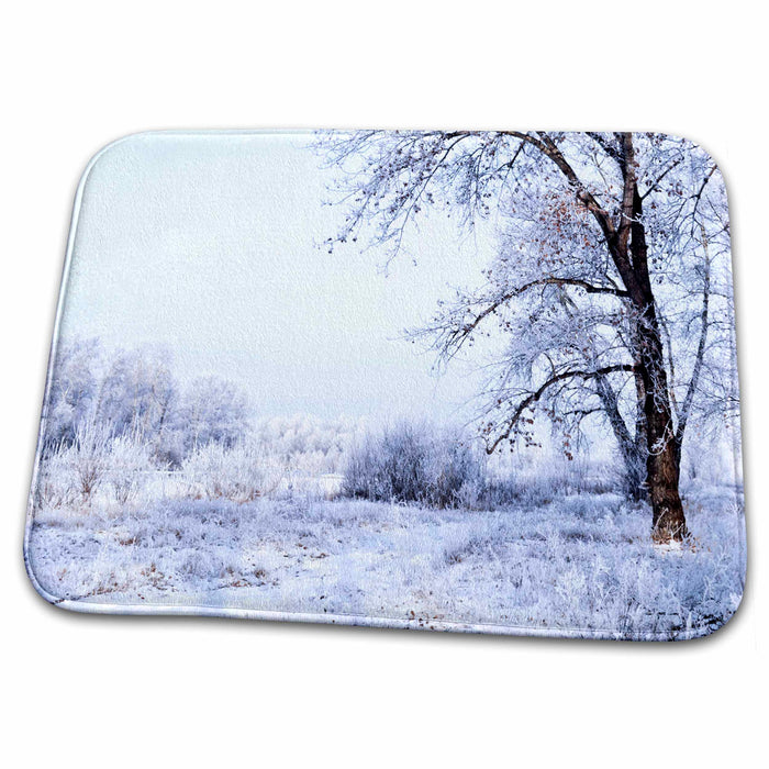 Dish Drying Mat - Lone Winter Tree Winter Scenery