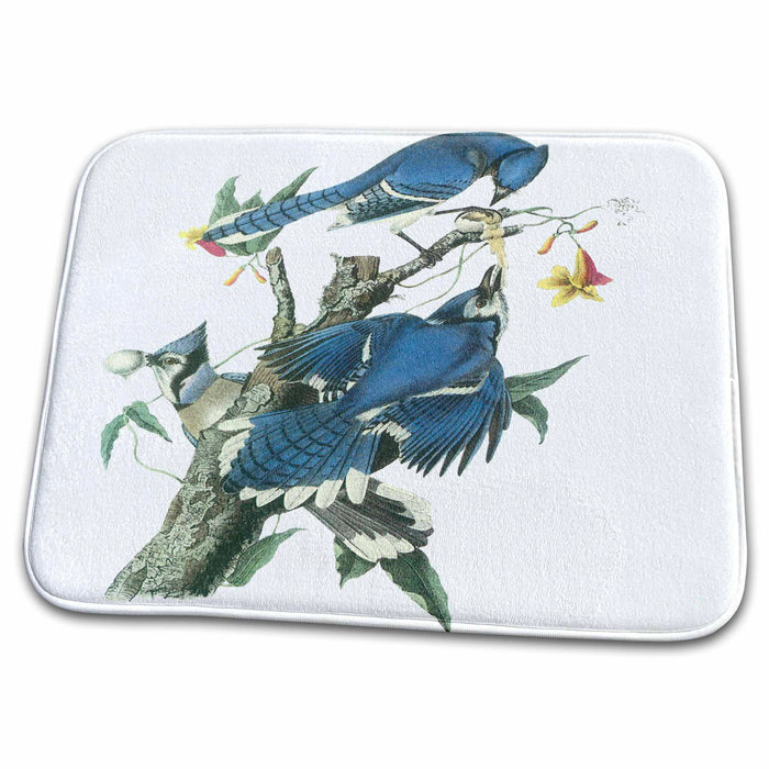 Dish Drying Mat - Group of Blue Jays Animals