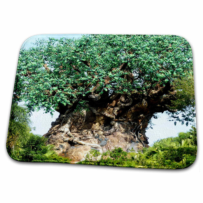 Dish Drying Mat - The infamous and enormous tree welcoming happy visitors s Photos - Florida