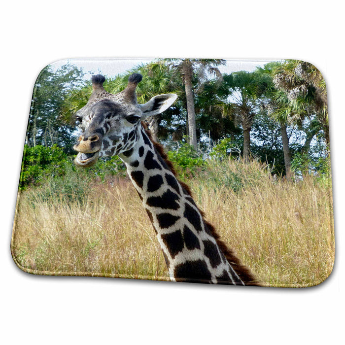 Dish Drying Mat - Cute giraffe chewing on a nice afternoon snack s Photos - Florida