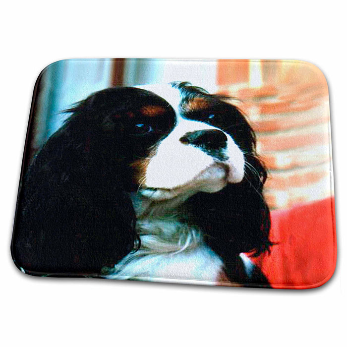 Dish Drying Mat - Cavalier King Charles Spaniels Dogs Cavalier King Charles Spaniel