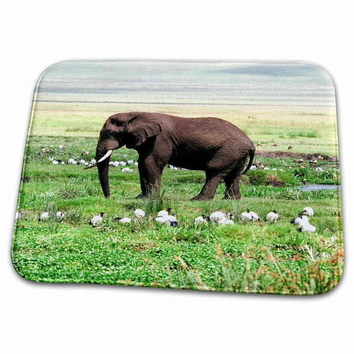 Dish Drying Mat - Longly Elephant with birds in Ngorongoro Crater, Tanzania Tanzania