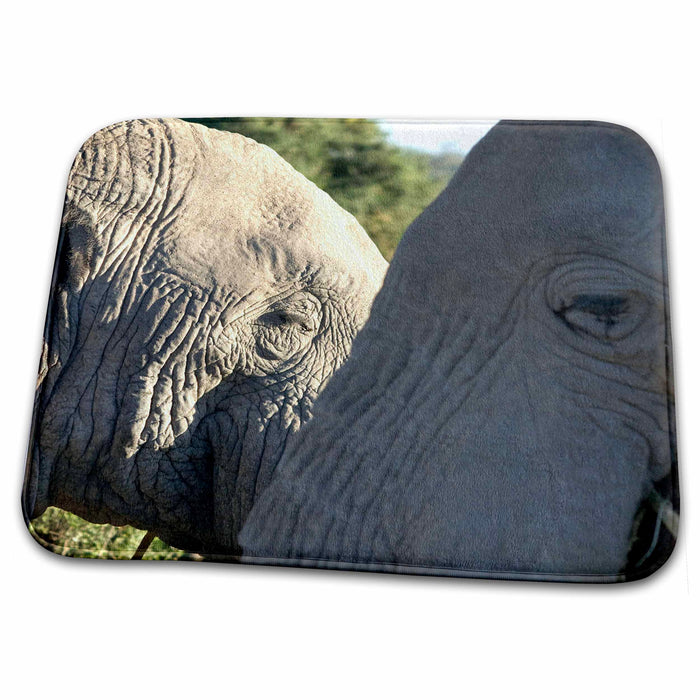 Dish Drying Mat - Two Elephants looking in opposite directions, Tanzania Tanzania