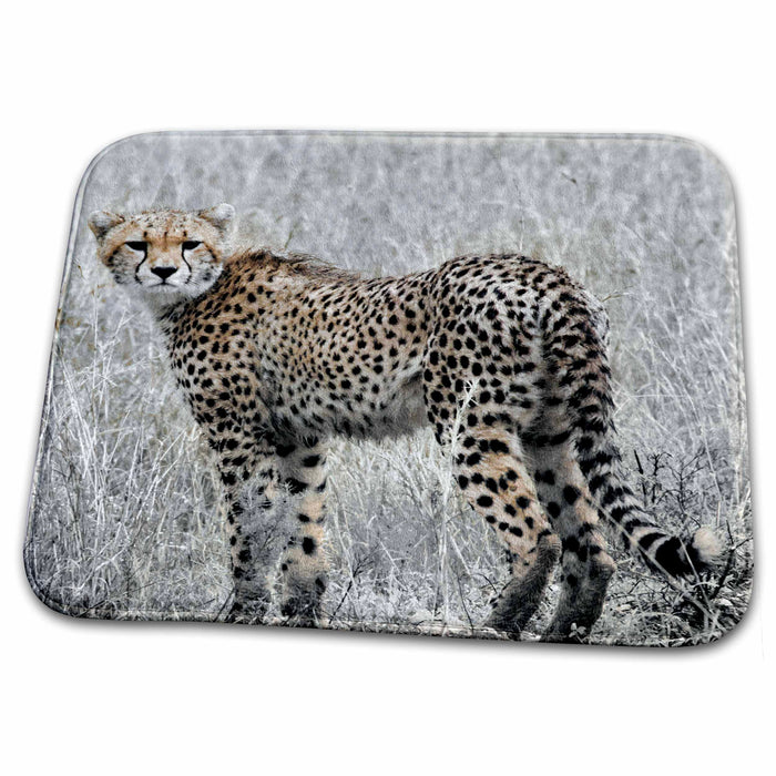 Dish Drying Mat - Cheetah in grass, black and white, cheetah in color Tanzania