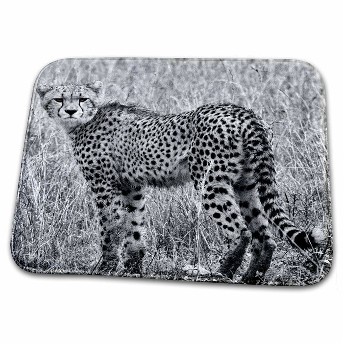 Dish Drying Mat - Cheetah black white, in grass Tanzania