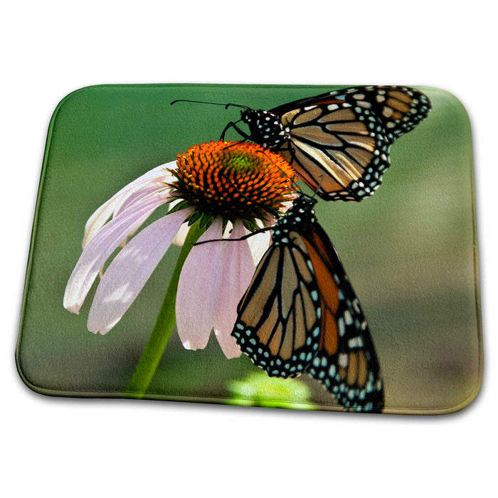 Dish Drying Mat - 2 monarch Butterflies on pink flower Floral