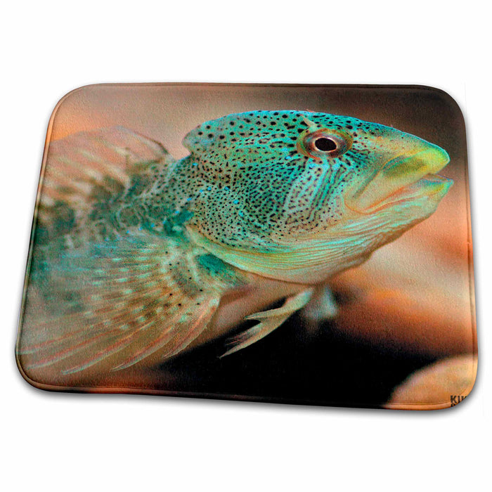 Dish Drying Mat - Fluvial fresh water blenny Animals