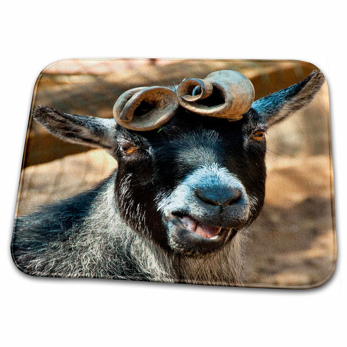 Dish Drying Mat - Curly horned goat, smiling at me Tanzania