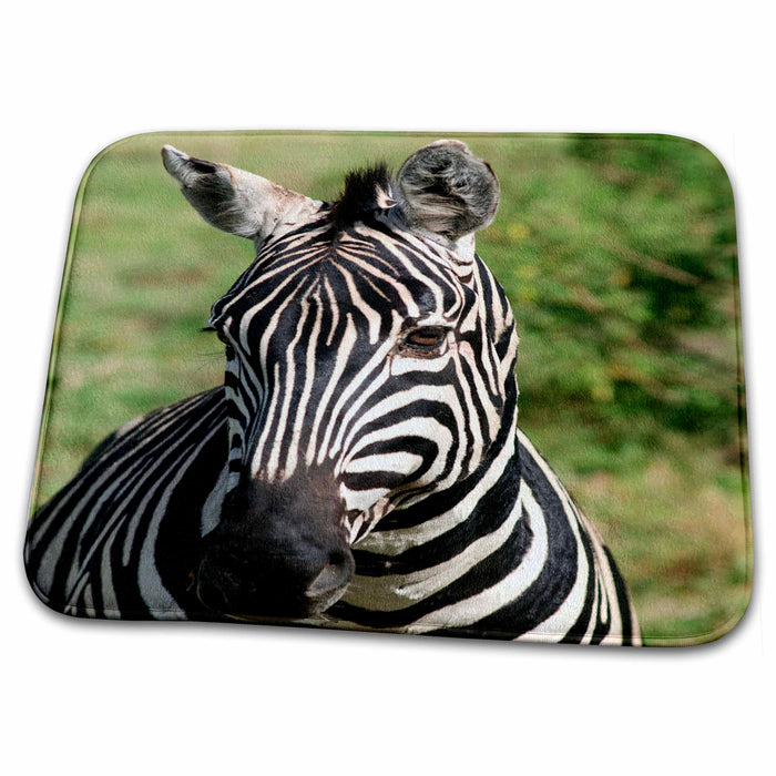 Dish Drying Mat - Zebra head shot, Tanzania Landscapes