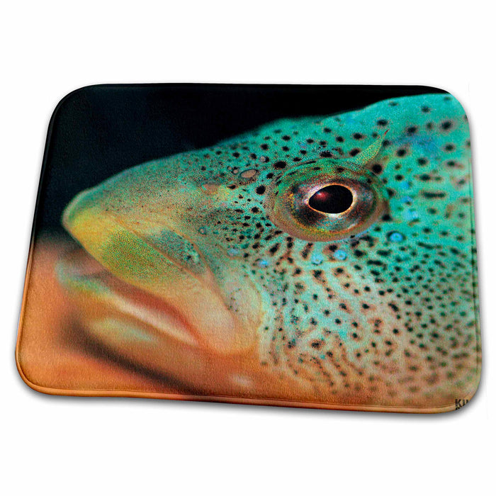 Dish Drying Mat - Fluvial fresh water blenny 2 Animals