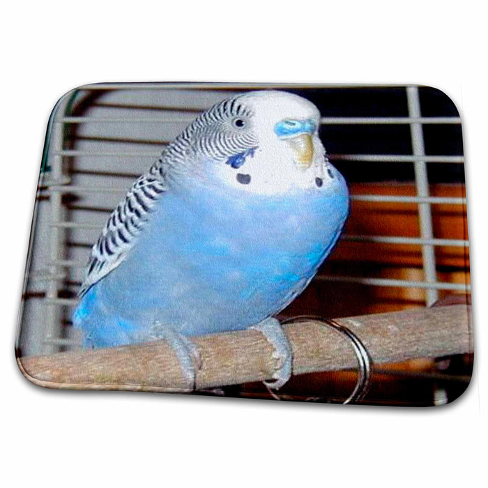 Dish Drying Mat - Blue Parakeet Birds