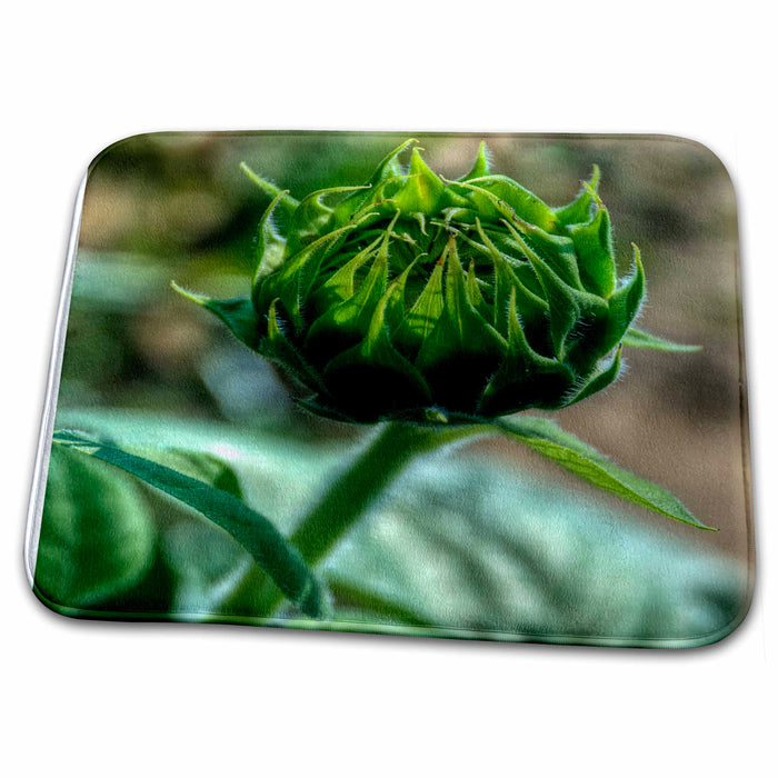 Dish Drying Mat - Sunflower bud Floral