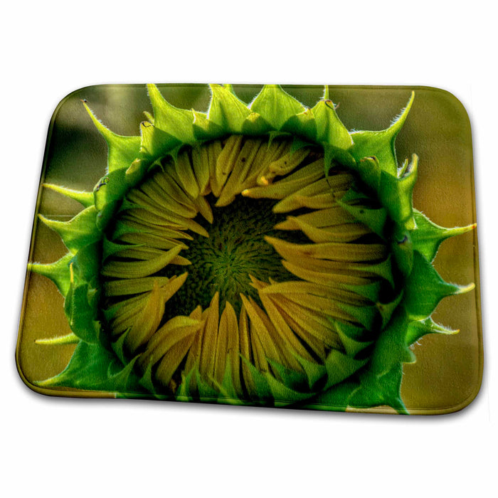 Dish Drying Mat - sunflower just starting to bloom Sea Scapes