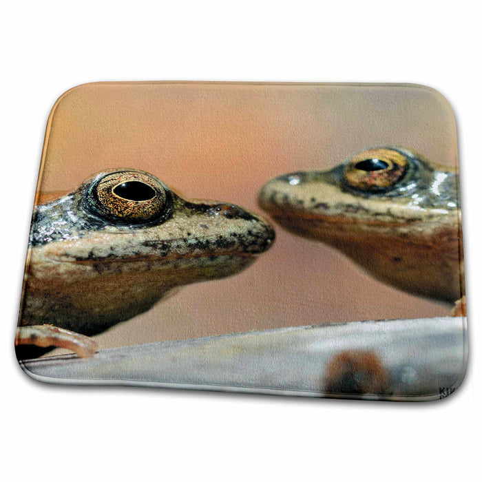 Dish Drying Mat - Pyrenaic Frog Animals