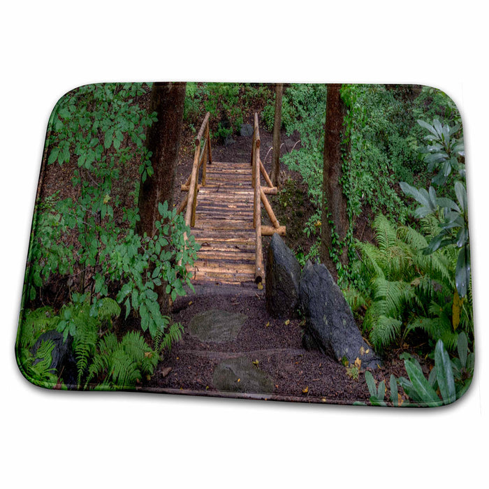 Dish Drying Mat - small wooden walkway bridge surrounded by greens. Photography