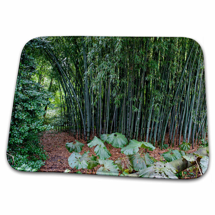 Dish Drying Mat - bamboo and green leaves Photography