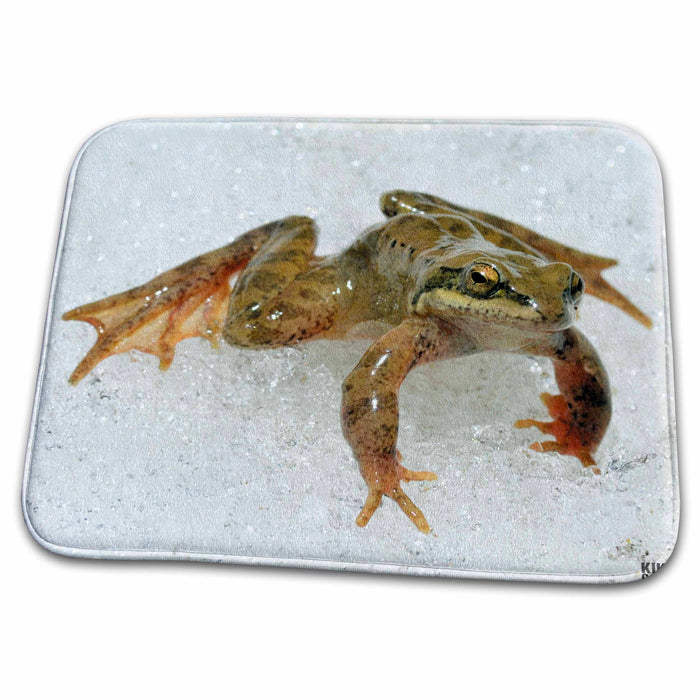 Dish Drying Mat - Pyrenaic Frog 2 Animals