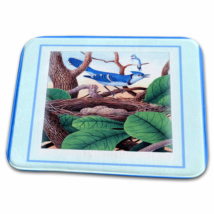 Dish Drying Mat - Framed Photo Of Vintage Blue Jay In Nest With Eggs Vintage