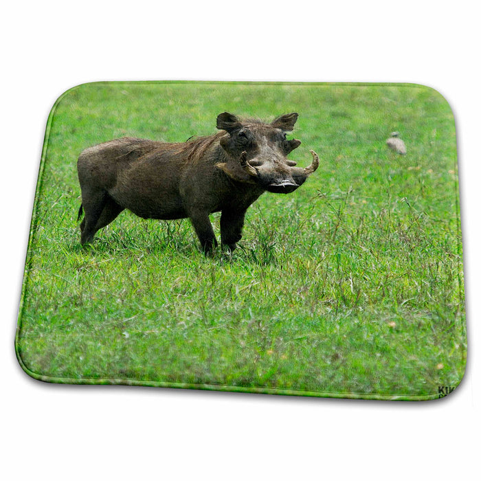 Dish Drying Mat - Warhog at the Sweetwater Reserve Animals