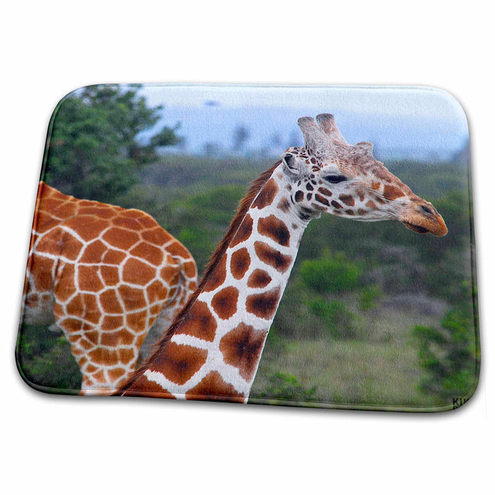 Dish Drying Mat - Giraffes at the Sweetwater Reserve 2 Animals