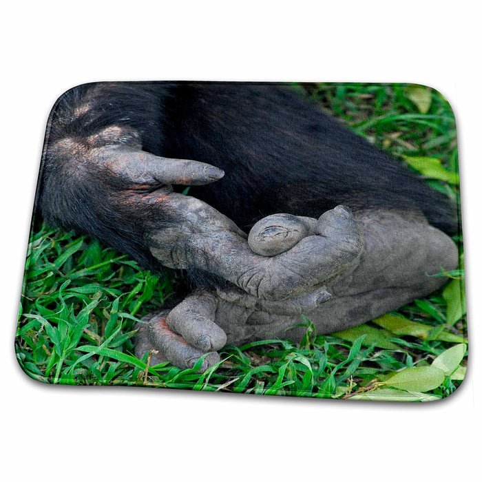 Dish Drying Mat - Rescue Chimpancees Animals