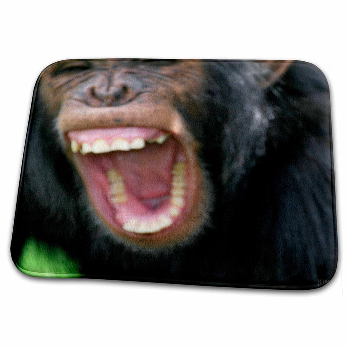 Dish Drying Mat - Rescue Chimpancees 2 Animals