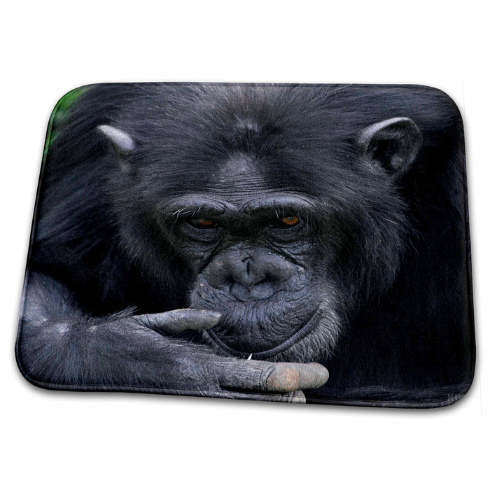 Dish Drying Mat - Rescue Chimpancees 4 Animals