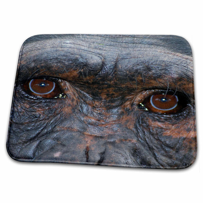 Dish Drying Mat - Rescue Chimpancees 5 Animals