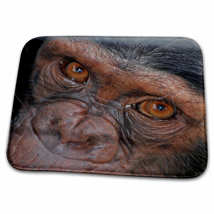 Dish Drying Mat - Rescue Chimpancees 6 Animals