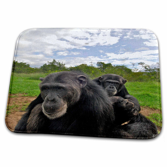 Dish Drying Mat - Rescue Chimpancees 7 Animals