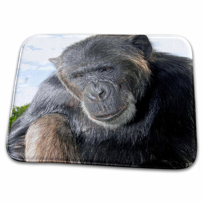 Dish Drying Mat - Rescue Chimpancees 8 Animals