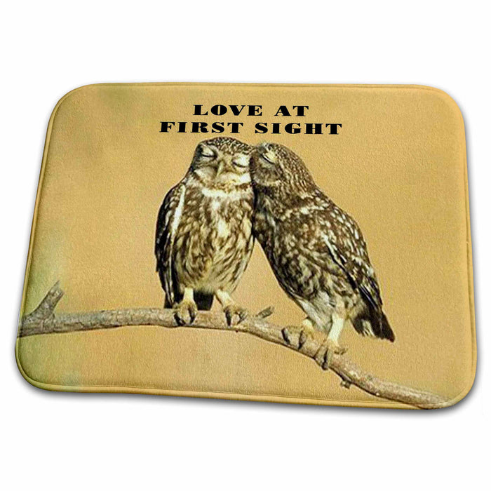 Dish Drying Mat - 2 Small Owls Say Love At First Sight.jpg Numbers Symbols And Sayings