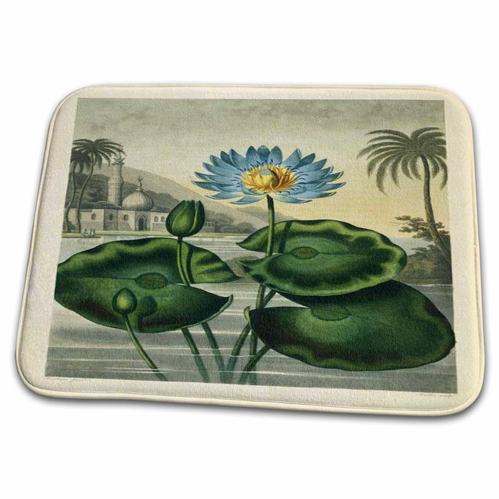 Dish Drying Mat - 1807 Painting Of A Blue WaterLlily With Palm From A Botany Book On Flowers Vintage