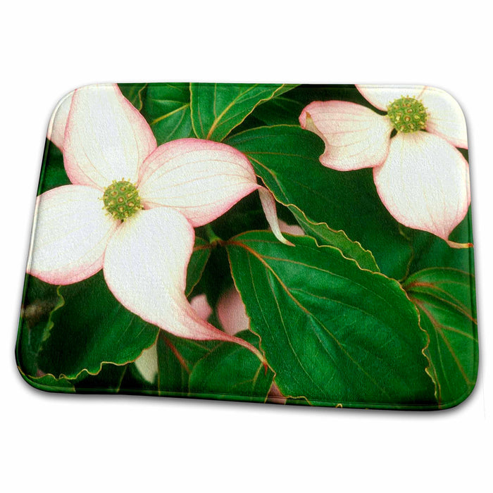 Dish Drying Mat - Beautiful Delicate Light Pink Dogwood.jpg Flowers