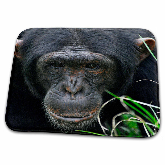 Dish Drying Mat - Rescue Chimpancees 11 Animals