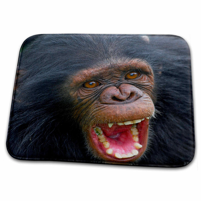 Dish Drying Mat - Rescue Chimpancees 12 Animals