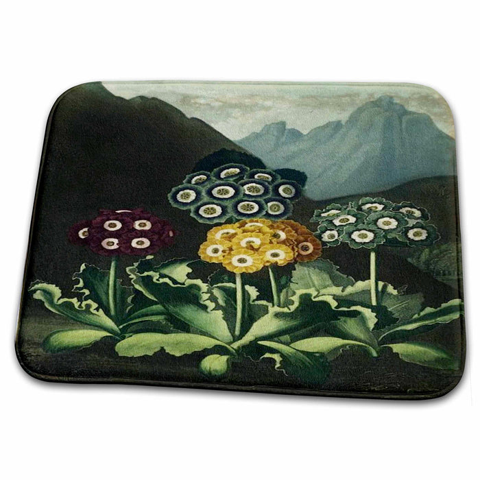 Dish Drying Mat - Unusual 1807 Purple Yellow n Teal Flowers With Mountains.jpg Vintage